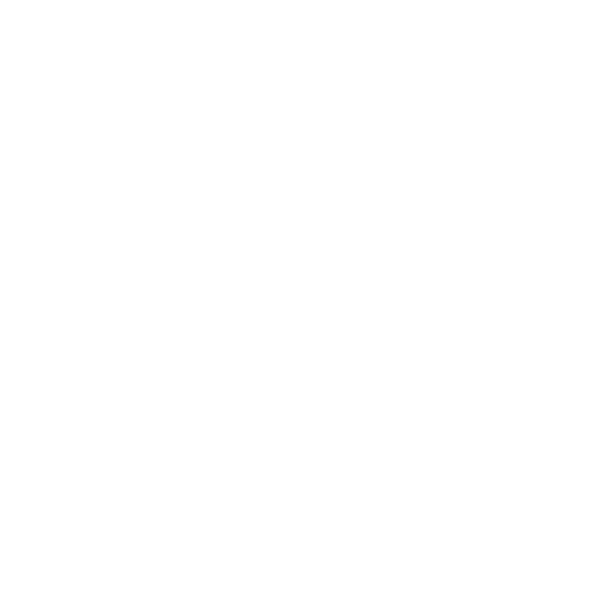 application-dev-white